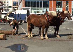 Holzmarkt 2018  In Jena 002